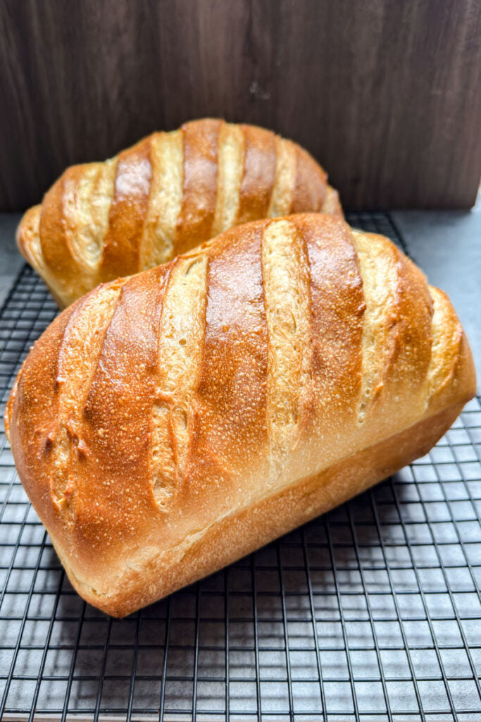 Plain Sourdough Loaf